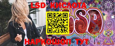 тгк Славгород