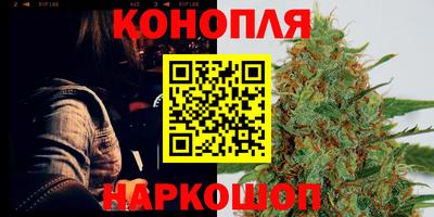 тгк Славгород