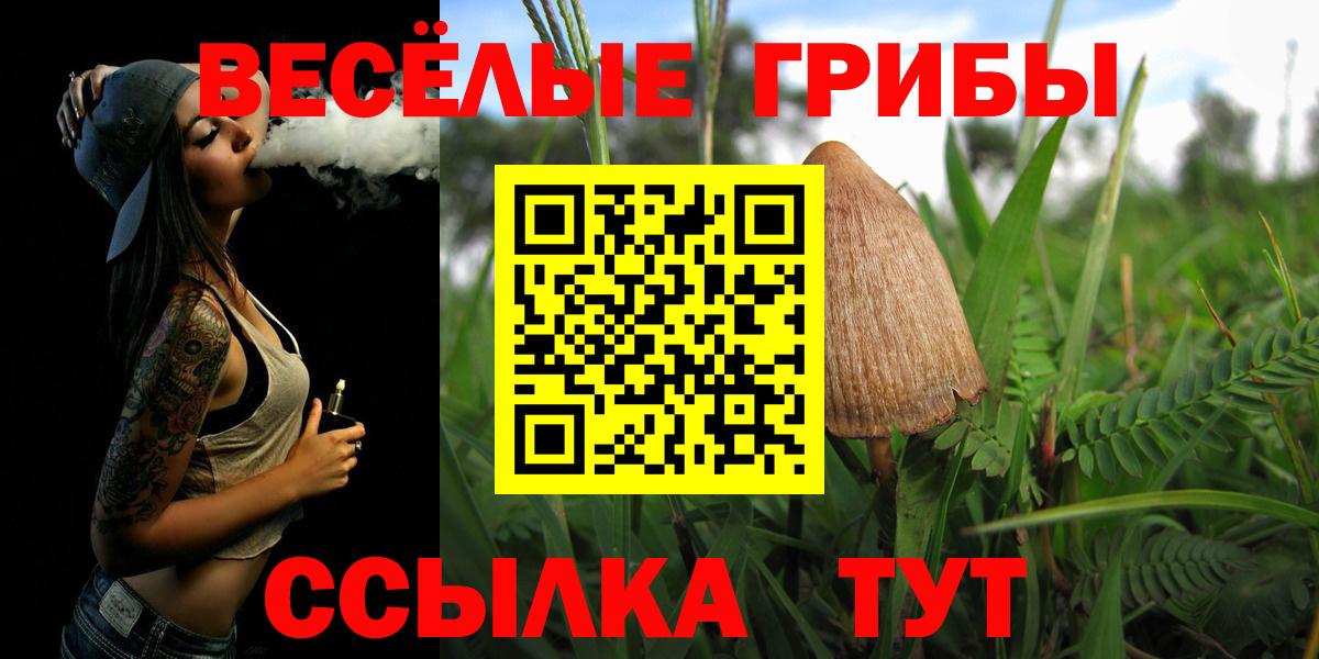 Симферополь  Галлюциногенные грибы Psilocybe  Вход с VPN 